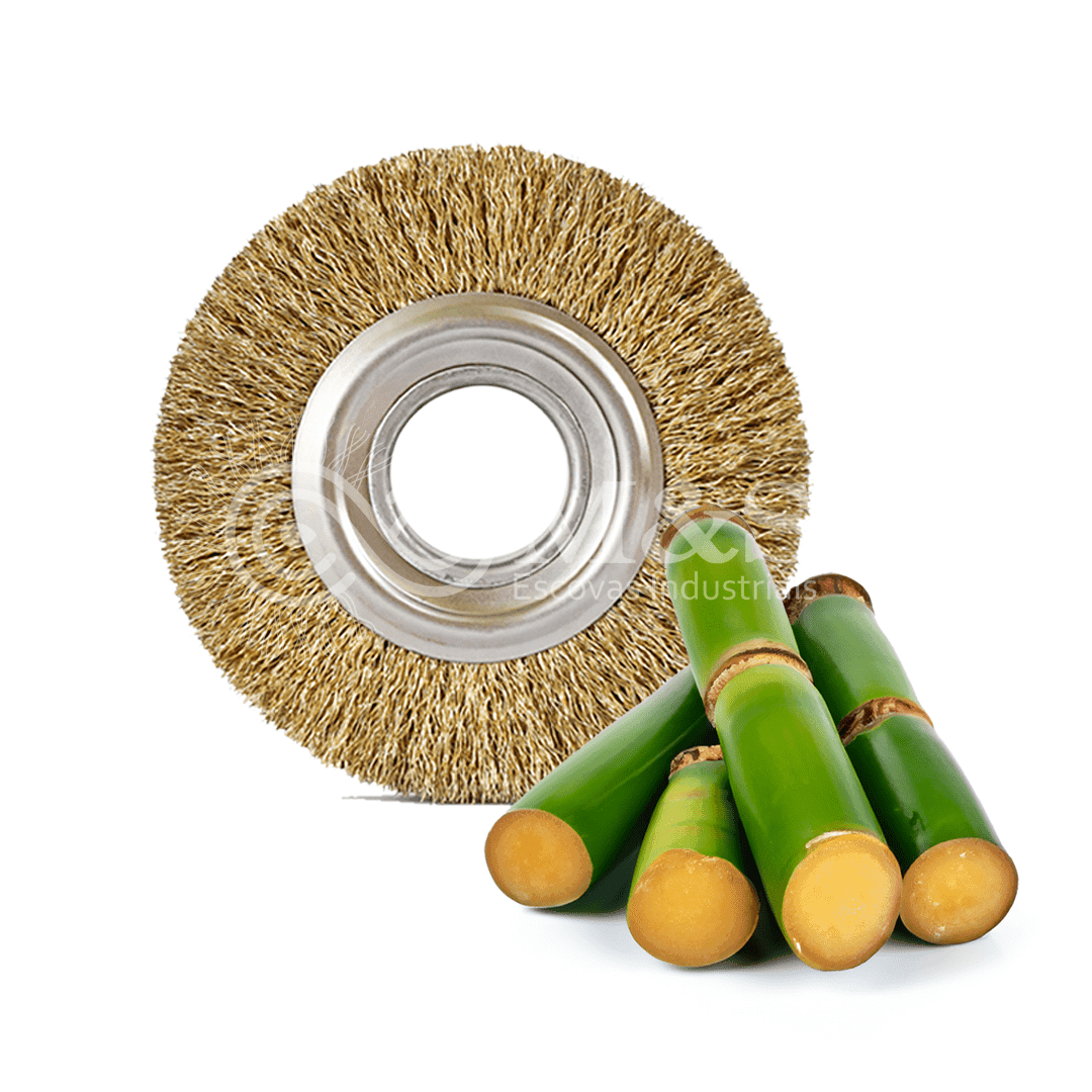 Limpeza de Cana de Açúcar